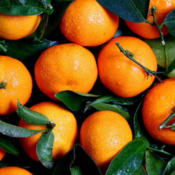 Mandarini-Clementine