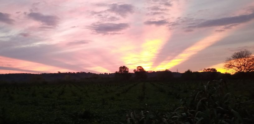 tramonto bello ridimensionato